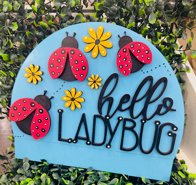 Interchangeable Insert - Hello Lady Bug - (10.5") - STV