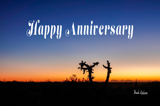 Cholla Sunset Happy Anniversary Greeting Card