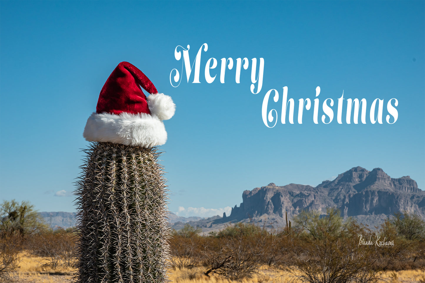 Merry Christmas in the Desert Greeting Card