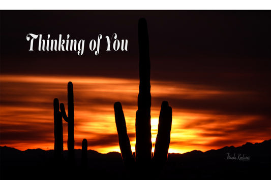 Saguaro Sunset Thinking of You Greeting Card