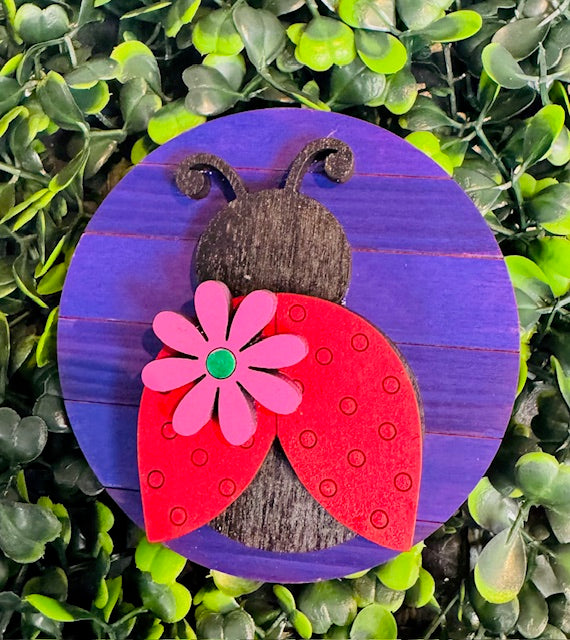 Magnetic Insert 3" Fresh Picked Daises - STV