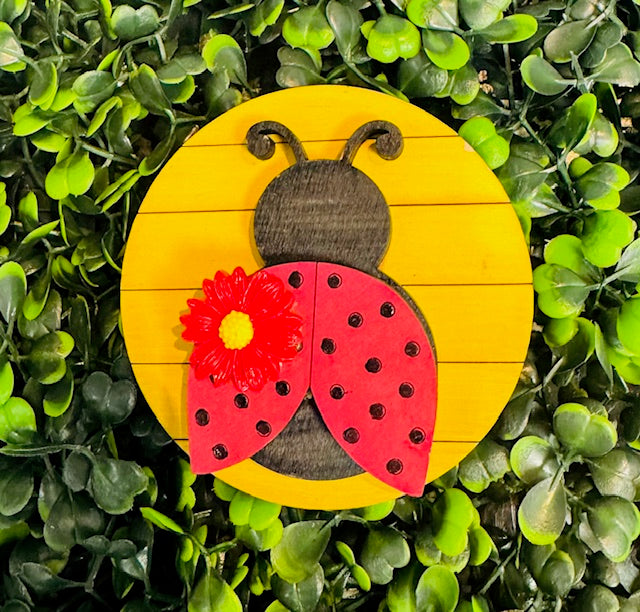 Magnetic Insert 3" Fresh Picked Daises - STV