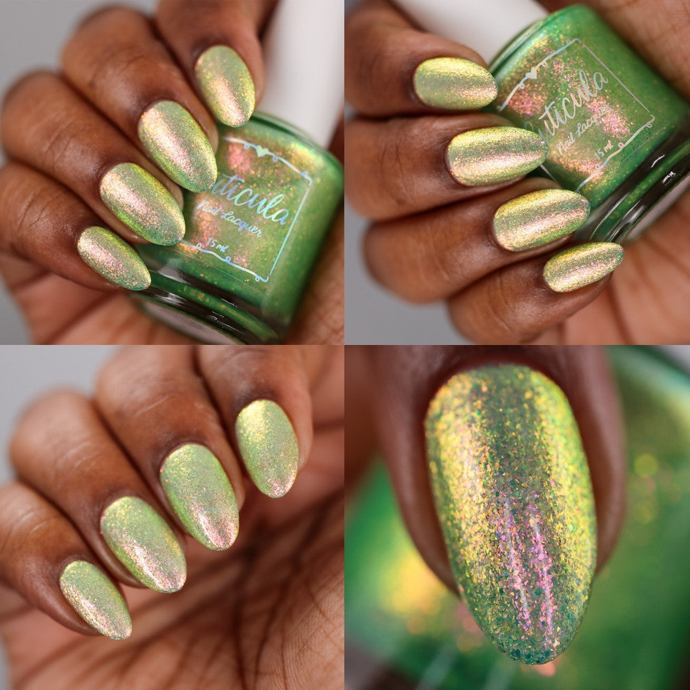 Sugar Melon