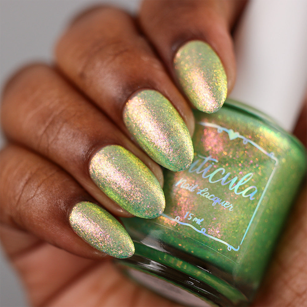 Sugar Melon