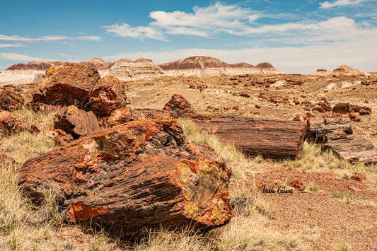 Arizona Petrified Forest Photograph on a Mini Canvas 6”x4”