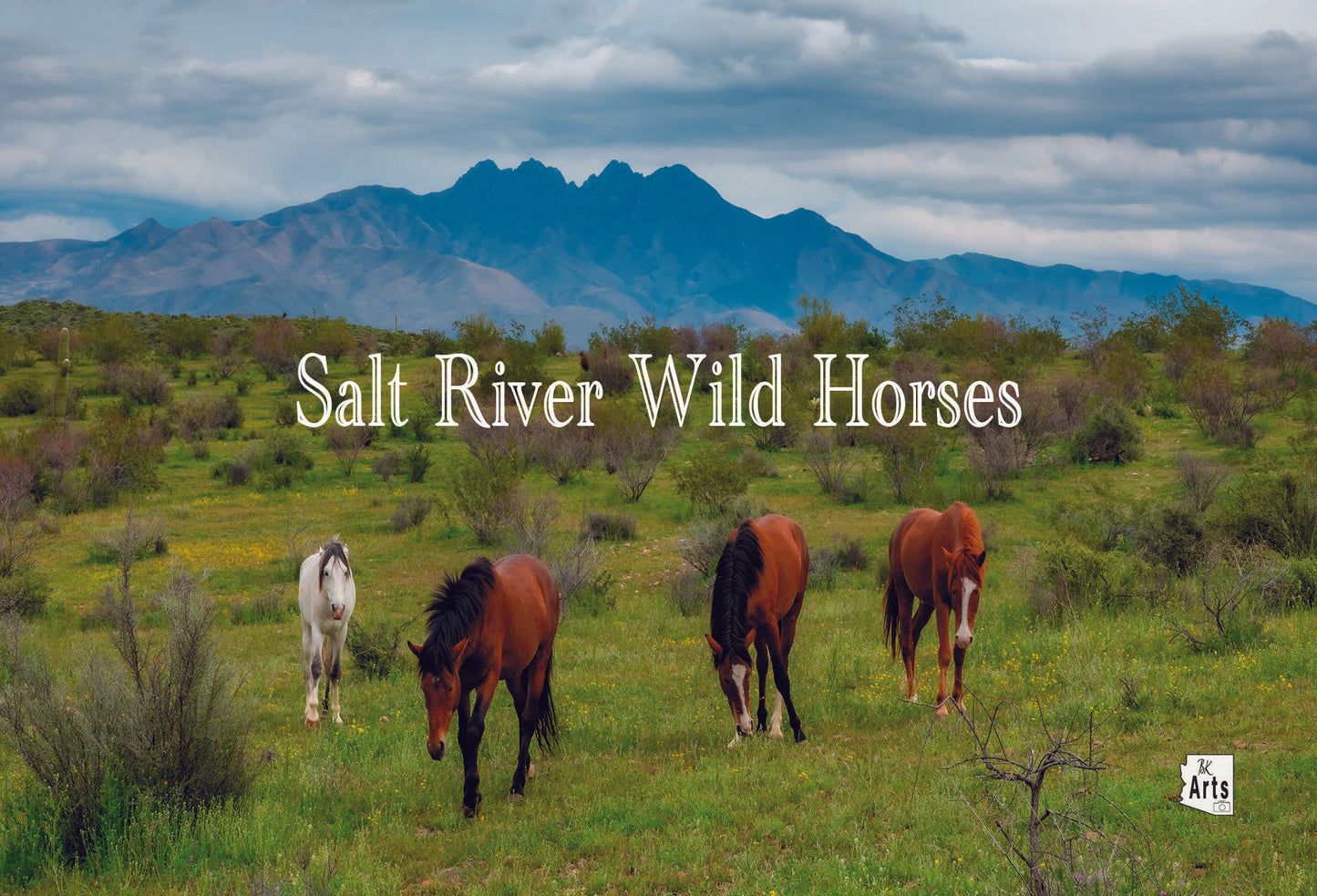 4 Peaks and Wild Horses Photograph on a  Magnet