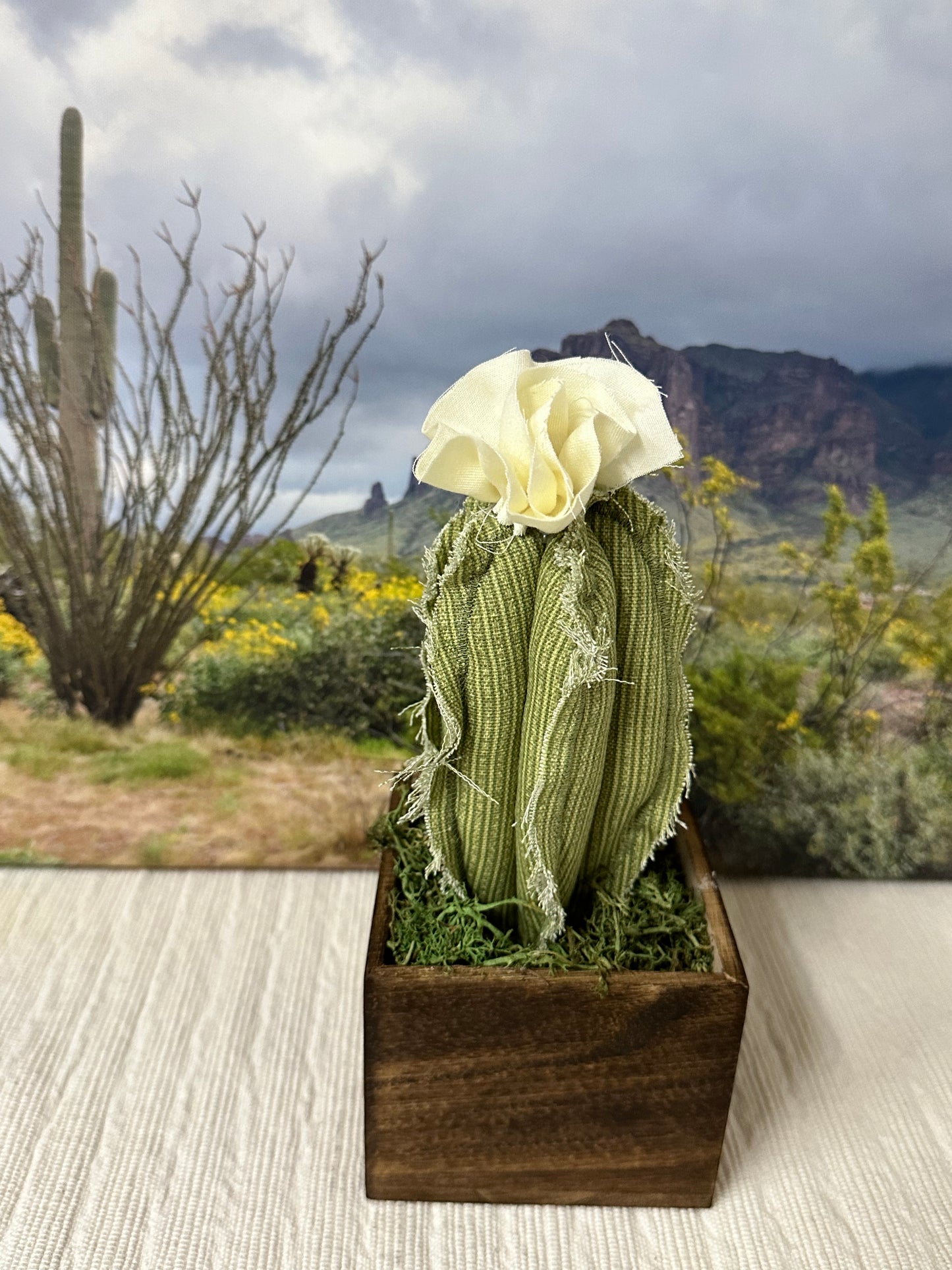 Handmade Fabric Cactus in Wooden Box