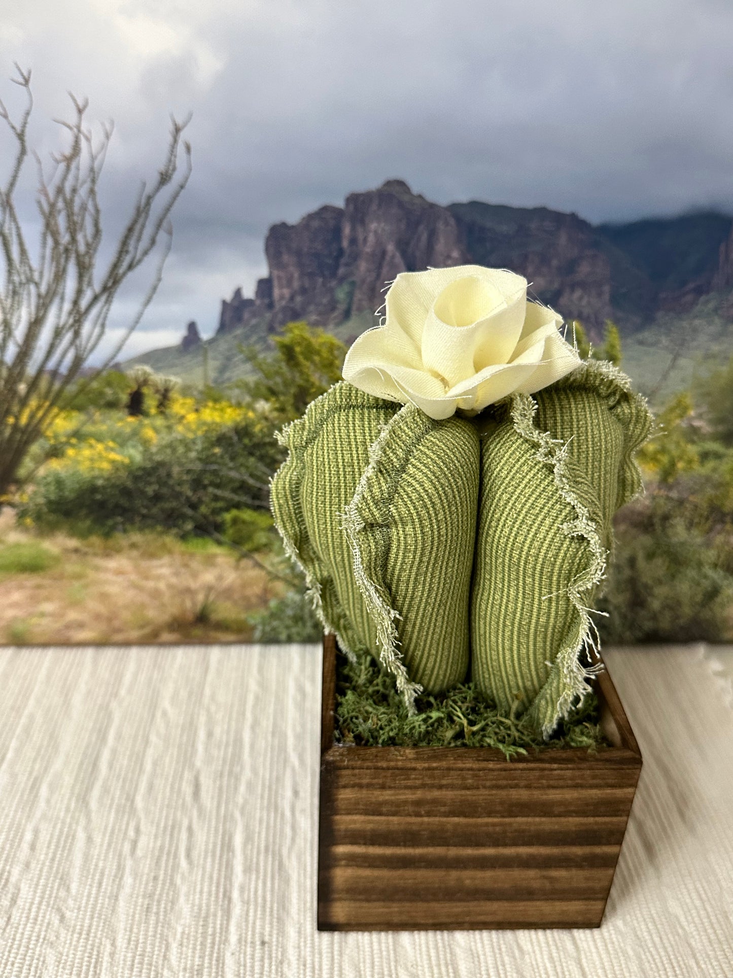 Handmade Fabric Cactus in Wooden Box
