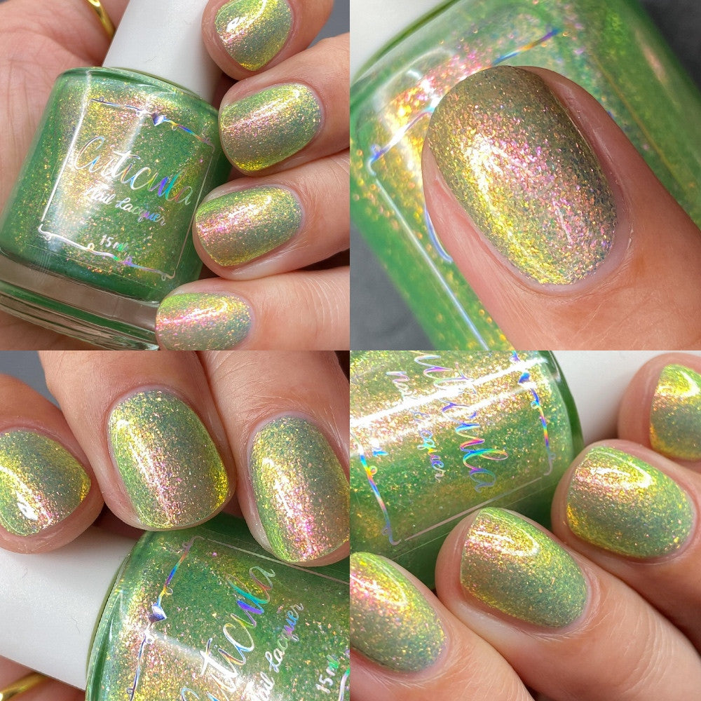 Sugar Melon