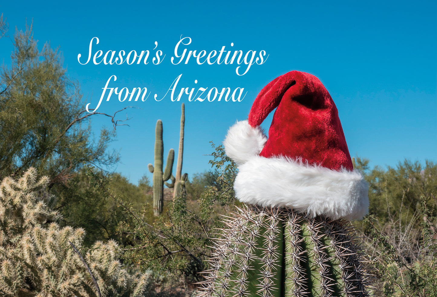 Seasons Greetings from Arizona Postcard