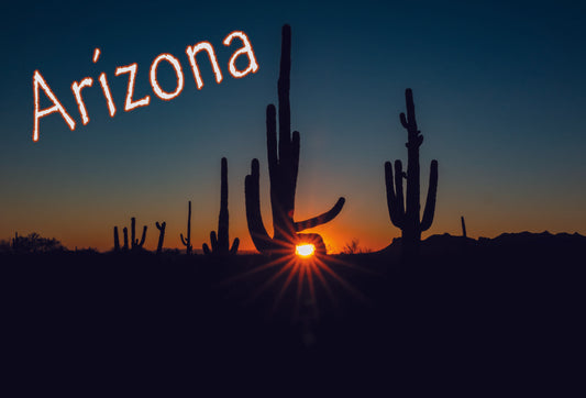 Saguaro Sunset  photograph on postcard