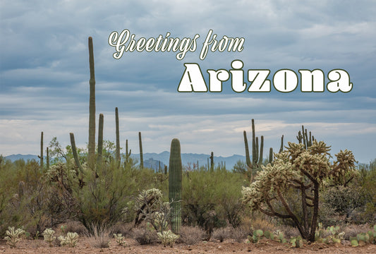 Greetings from Arizona Desert Scene Postcard