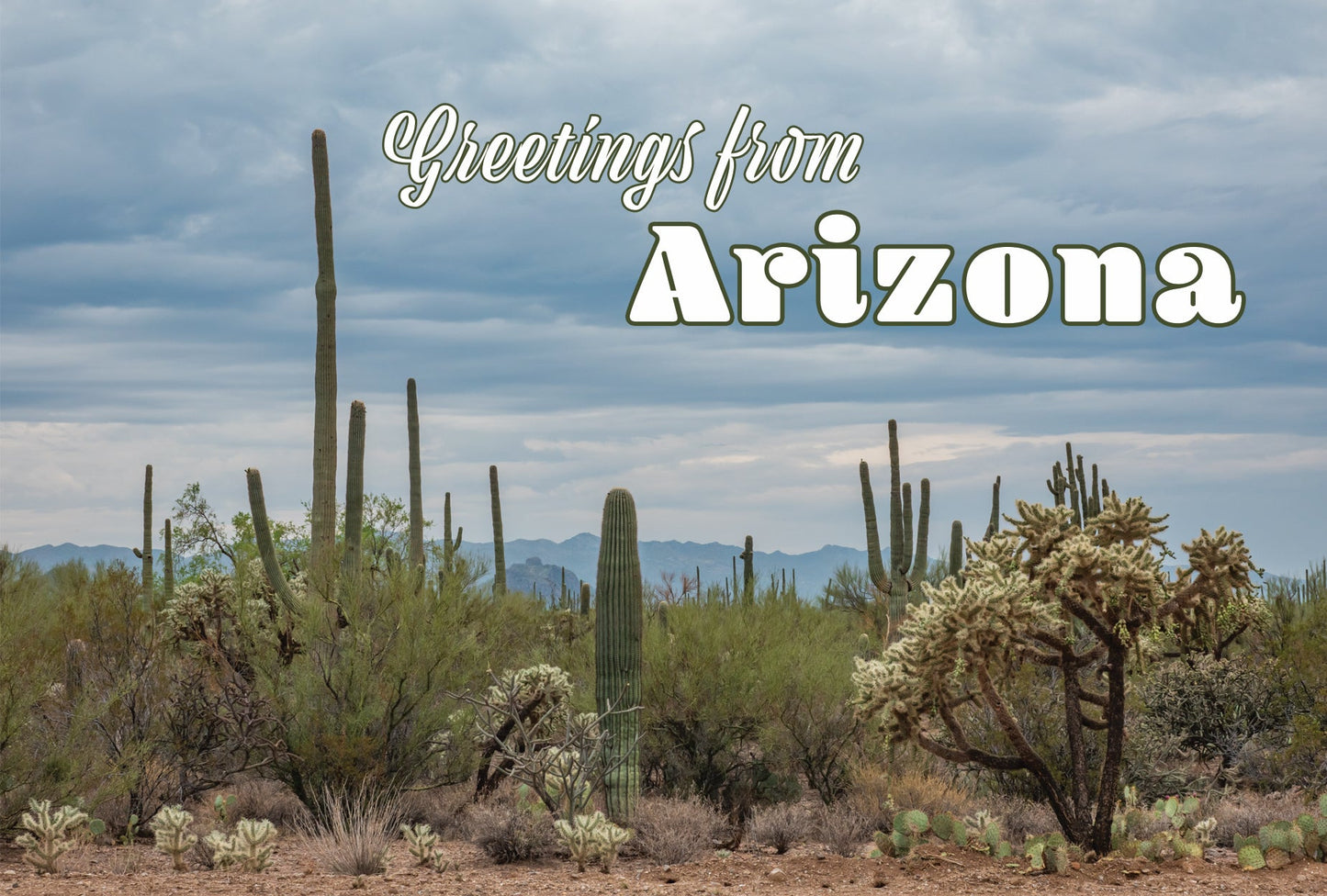 Greetings from Arizona Desert Scene Magnet