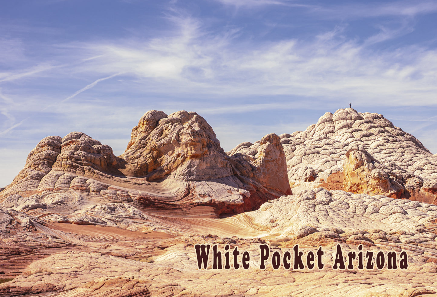 White Pocket Postcard