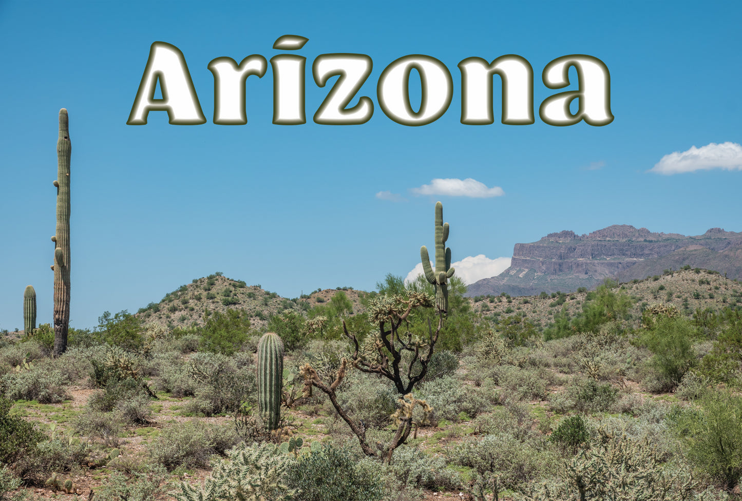 Arizona Desert Scene Postcard