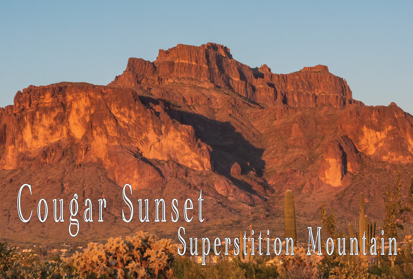 Superstition Mountain Large Cougar Sunset Postcard