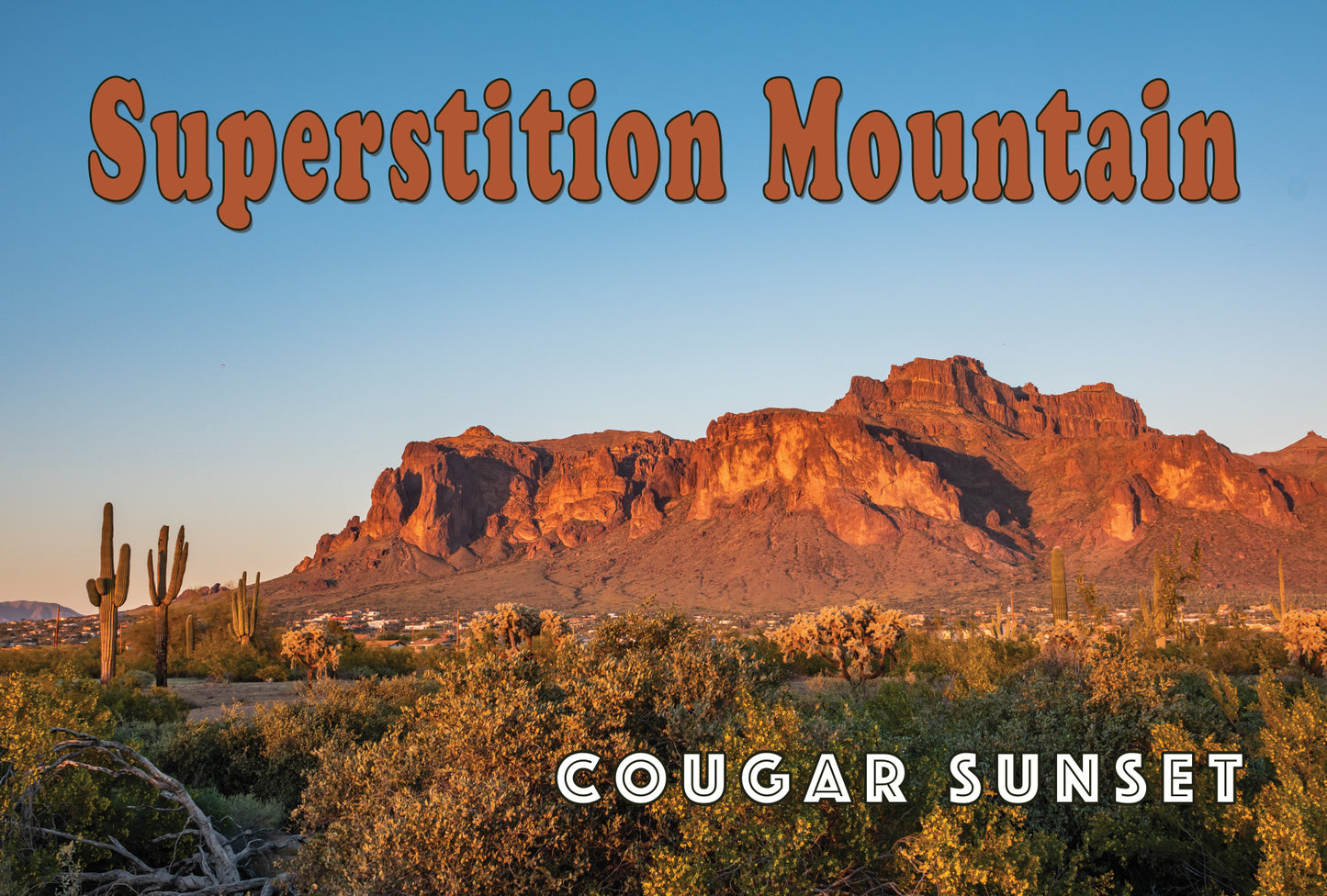 Superstition Mountain Cougar Sunset Postcard