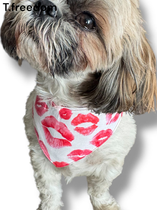 Kiss Me Quick Dog Bandana