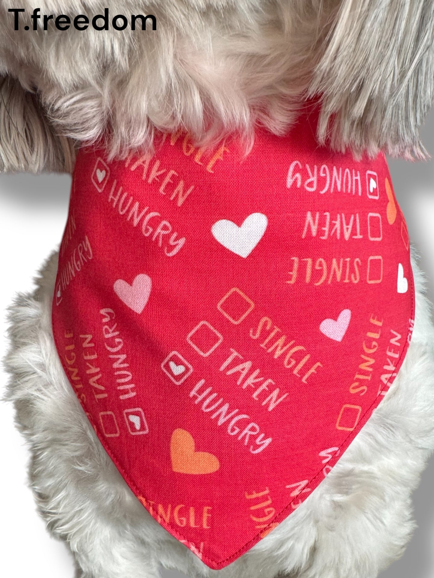 Single, Taken, Hungry Dog Bandana
