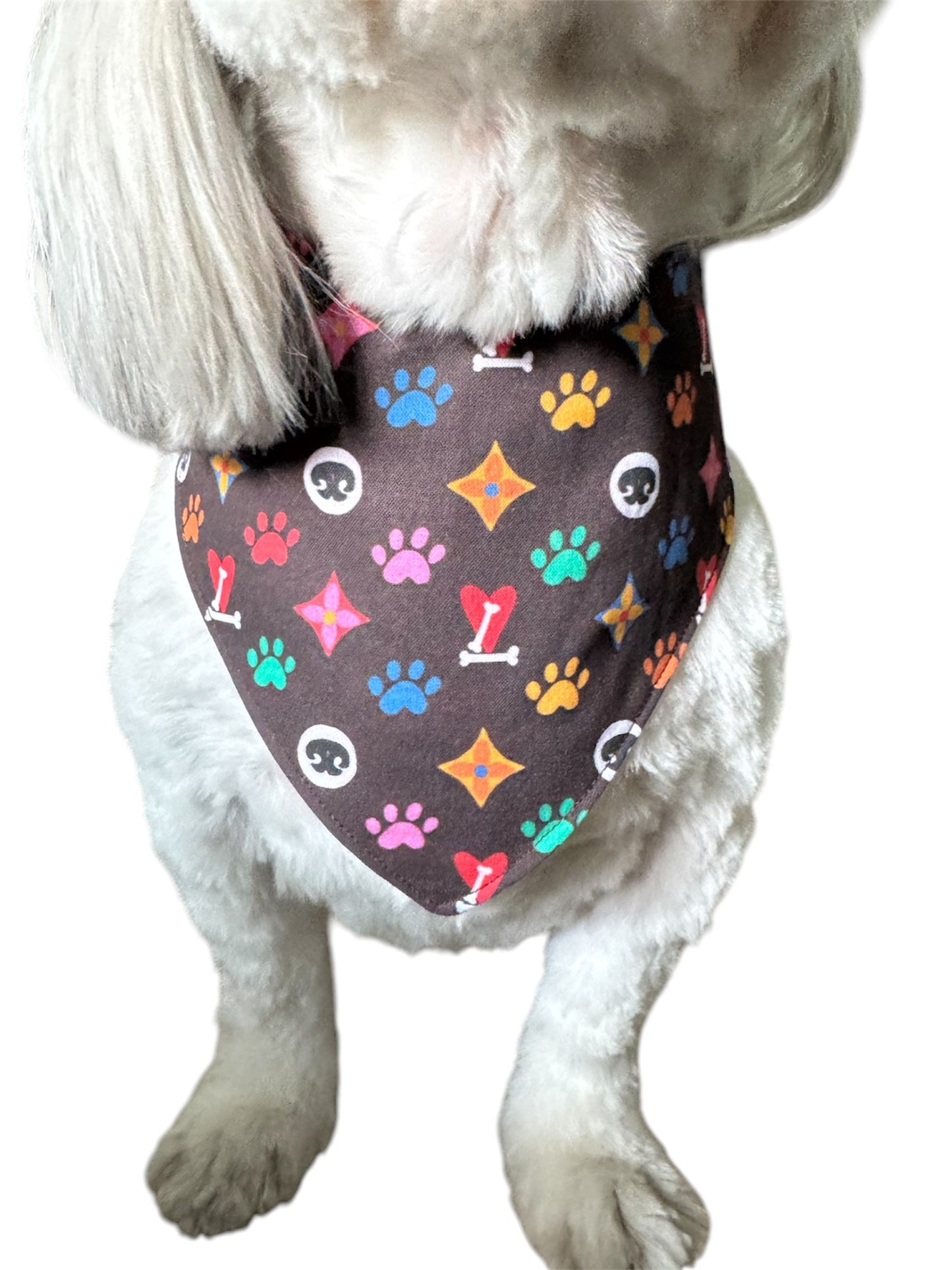 Louis PawTon dog bandana