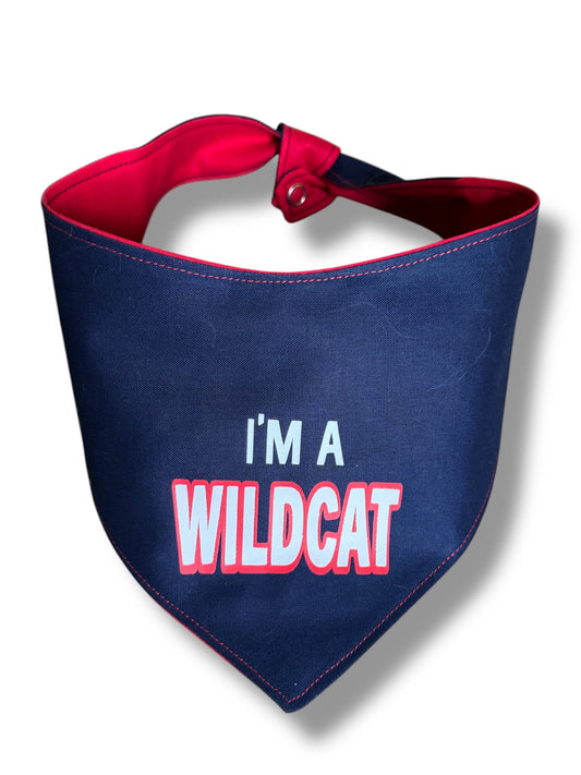 Hooman uofa bandana