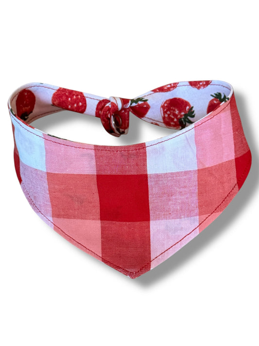 Strawberry fields reversible dog bandana