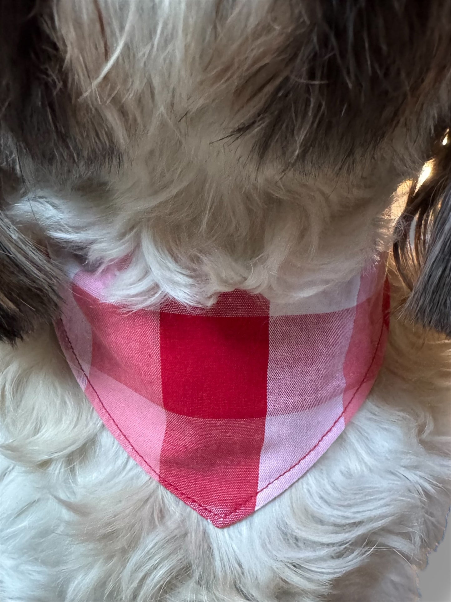 Strawberry fields reversible dog bandana