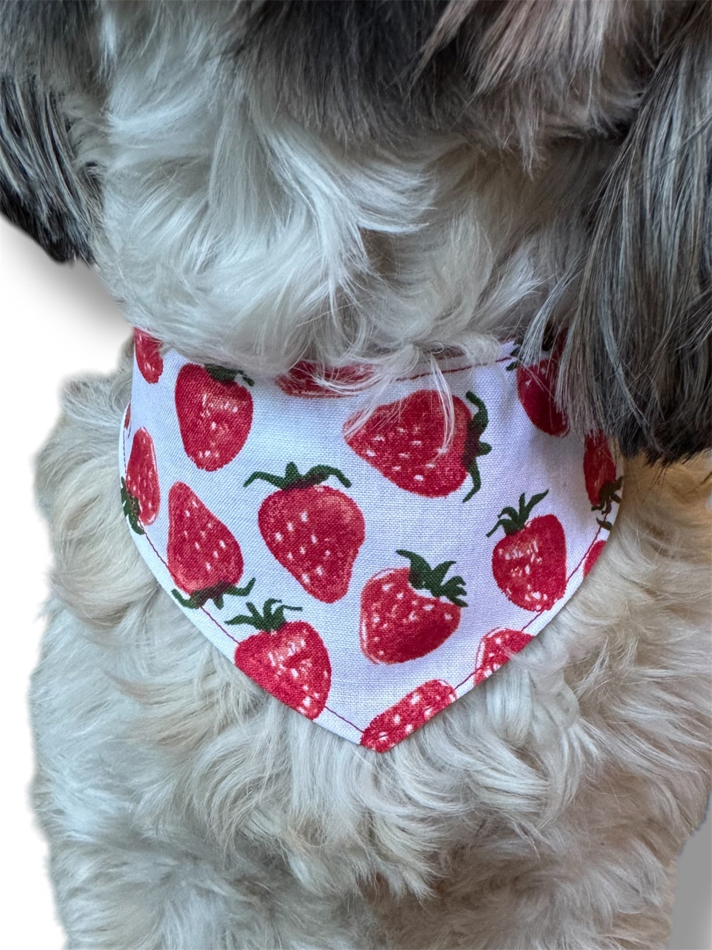 Strawberry fields reversible dog bandana