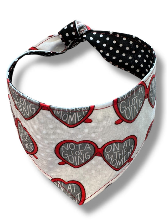 Not a lot going on at the moment reversible dog bandana