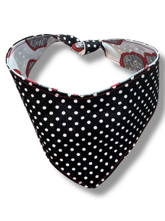 Not a lot going on at the moment reversible dog bandana