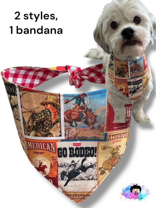 Rodeo ready dog bandana