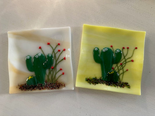 Plate -Saguaro, Barrel, Ocotillo 6x6