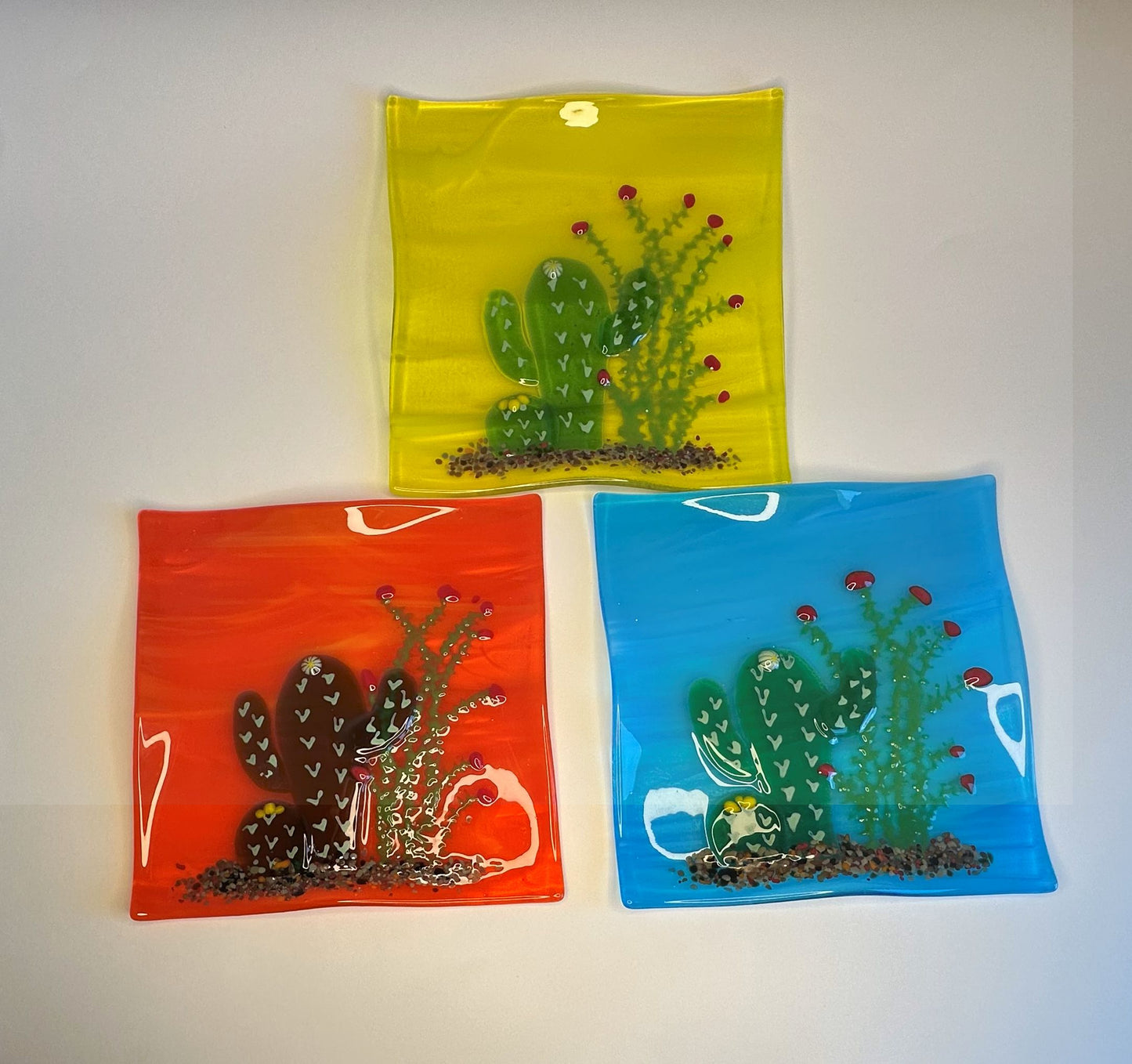 Plate -Saguaro, Barrel, Ocotillo 6x6