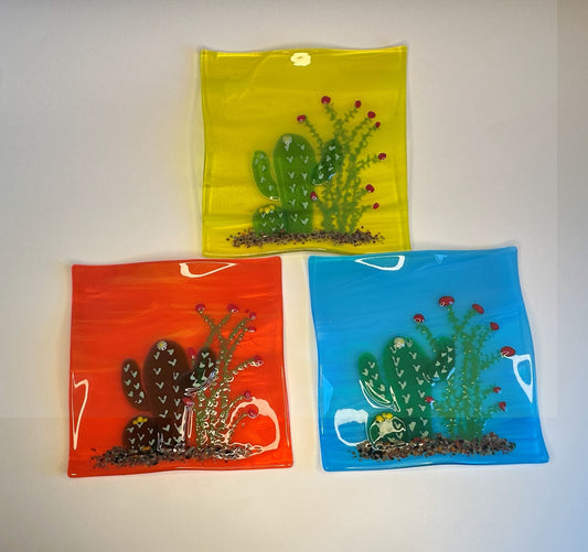 Plate -Saguaro, Barrel, Ocotillo 6x6