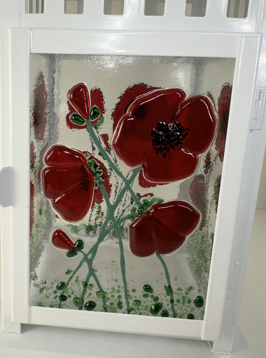 Lantern - Poppy