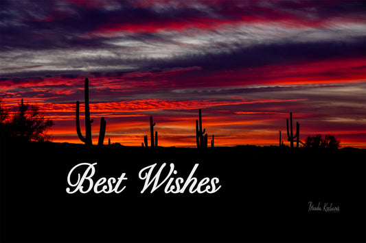 Arizona Saguaro Sunset Best Wishes Greeting Card