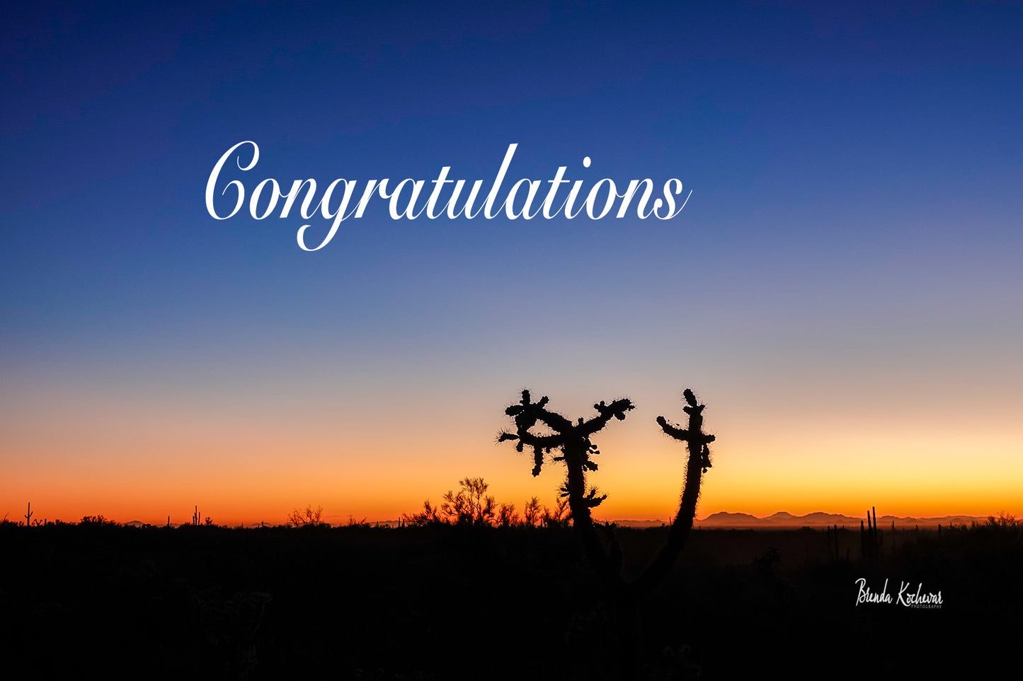 Cholla Sunset Congratulations Greeting Card