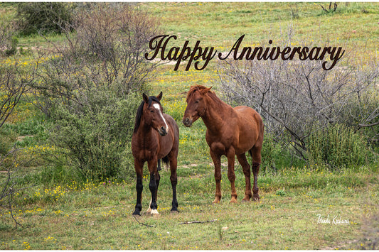 Salt River Wild Horses Happy Anniversary Greeting Card