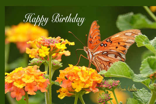 Butterfly on Lantana Happy Birthday Greeting Card