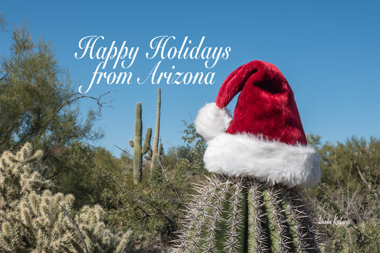 Happy Holidays from Arizona Desert Christmas Greeting Card