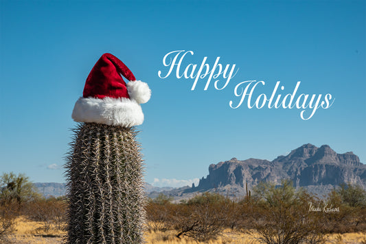 Happy Holidays in the Desert Greeting Card