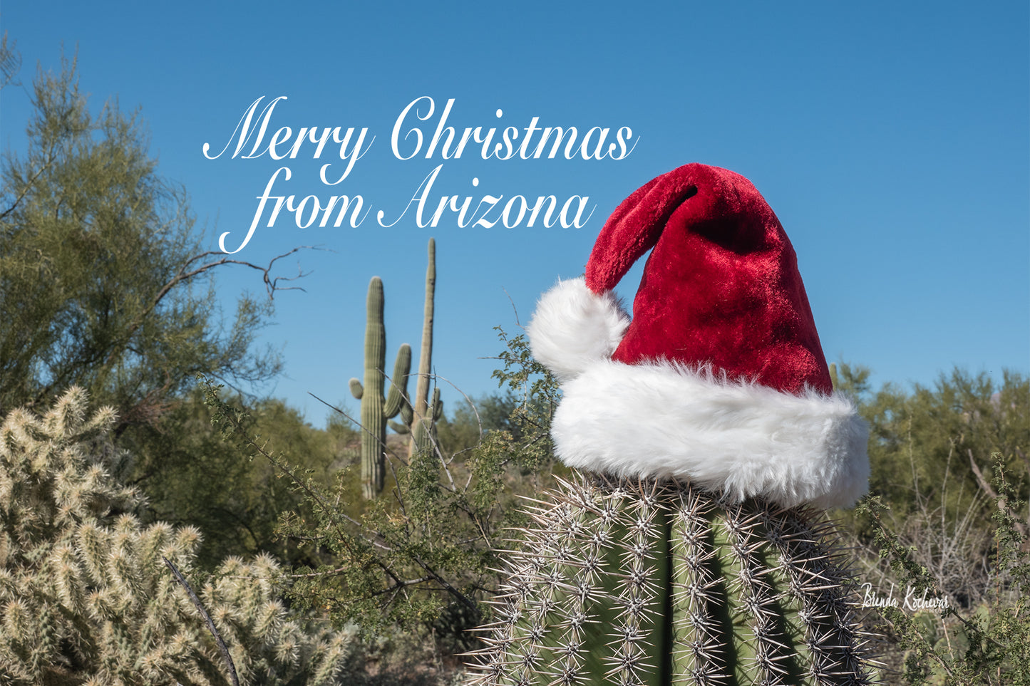 Merry Christmas from Arizona Desert Christmas Greeting Card