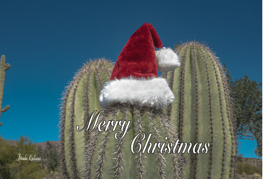 Merry Christmas Saguaro Hands Up Christmas Greeting Card