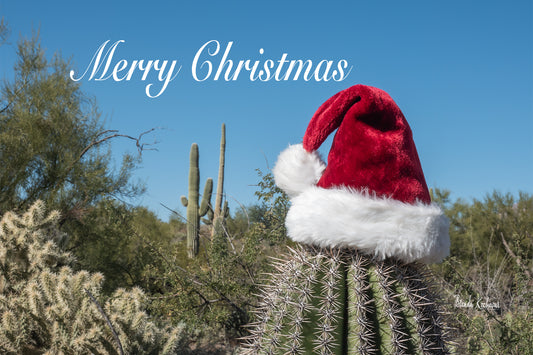 Merry Christmas Desert Christmas Greeting Card
