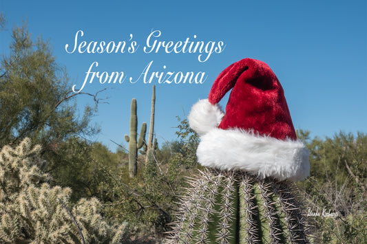 Season's Greetings from Arizona Desert Christmas Greeting Card