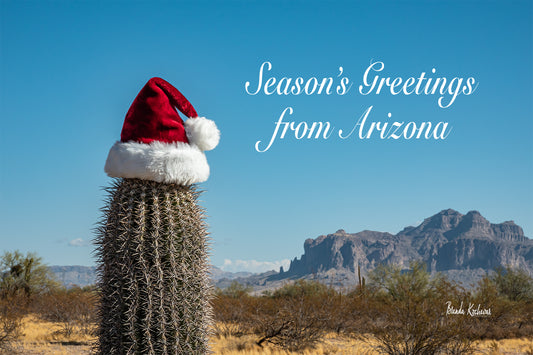 Season's Greetings from Arizona Desert Greeting Card