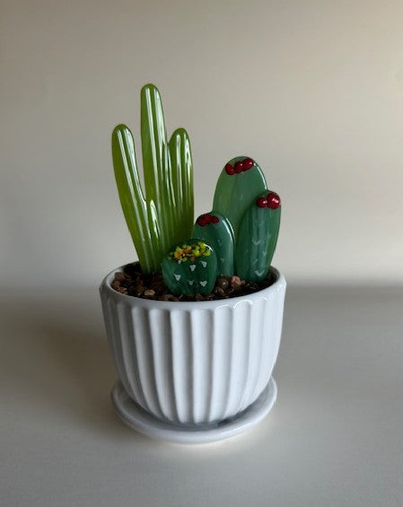 Succulents - Triple in 4" pot
