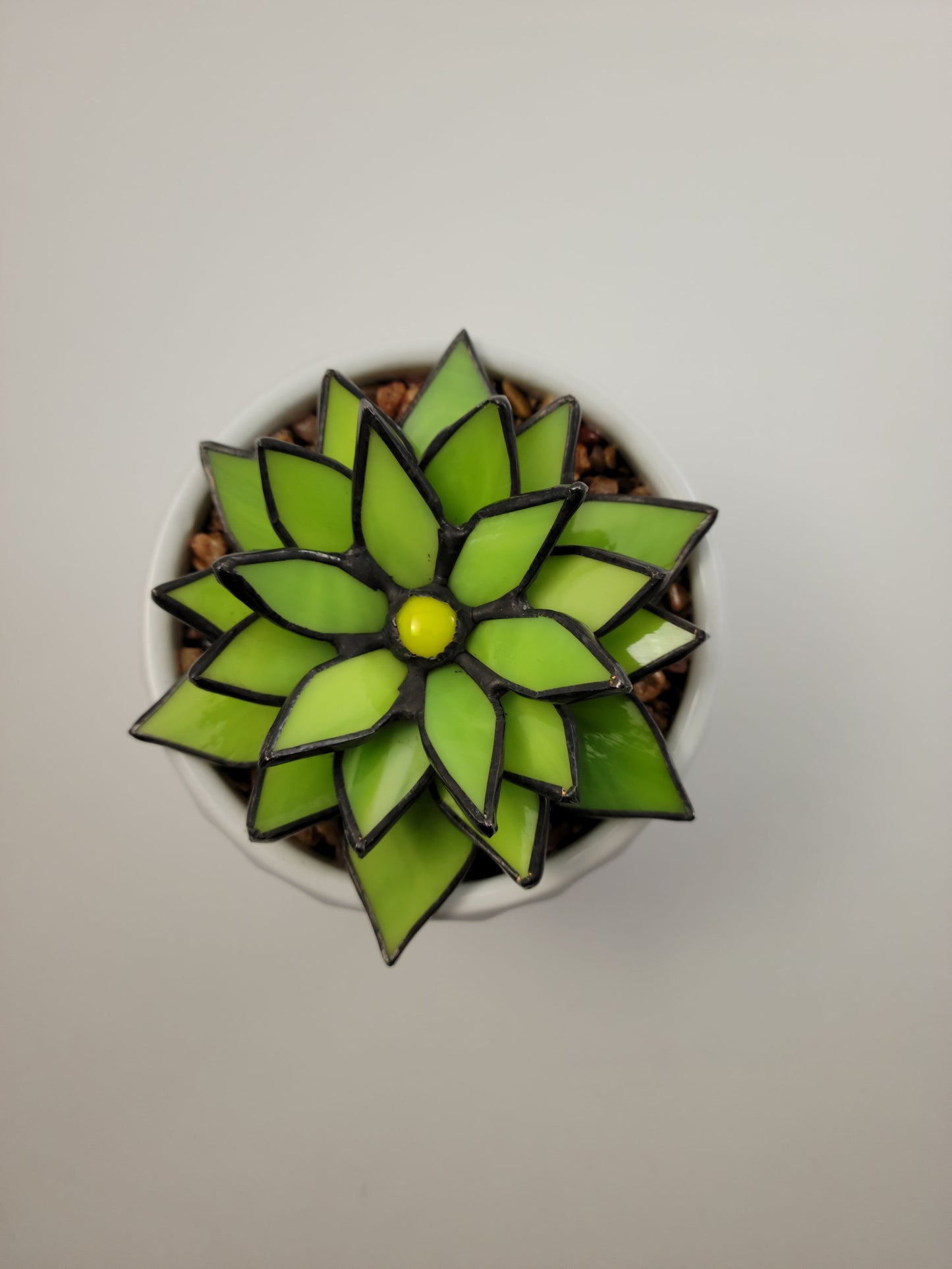 Succulent - Stained Glass Agave