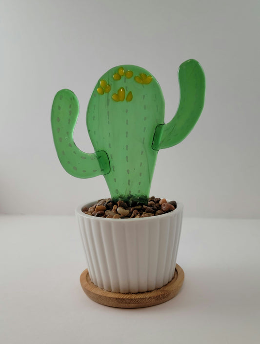 Succulent- Saguaro - 3"
