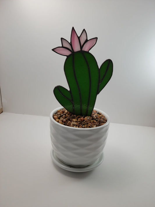 Potted Succulent - Stained Glass Saguaro 4"